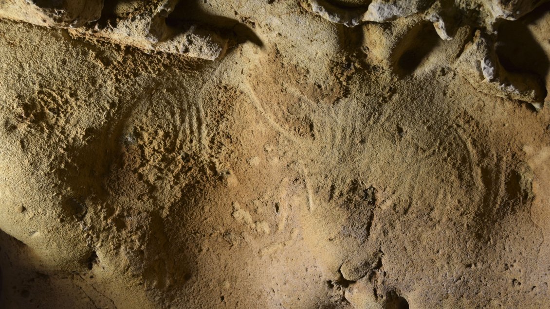 Hallan el grabado neandertal más antiguo en la pared de una cueva en Francia