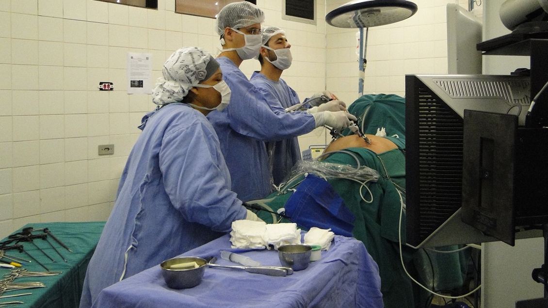 Científicos trasplantaron riñones de cerdo a un humano y lograron que funcionaran