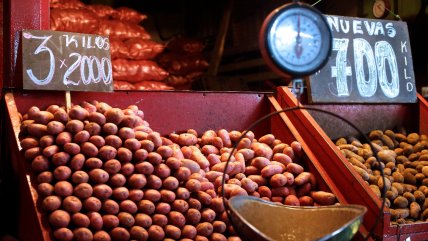  Gobierno pedirá que la FNE investigue eventual especulación en los precios de las hortalizas  