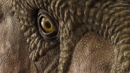  Dinosaurios dejaron un legado compartido entre la Patagonia y Australia  