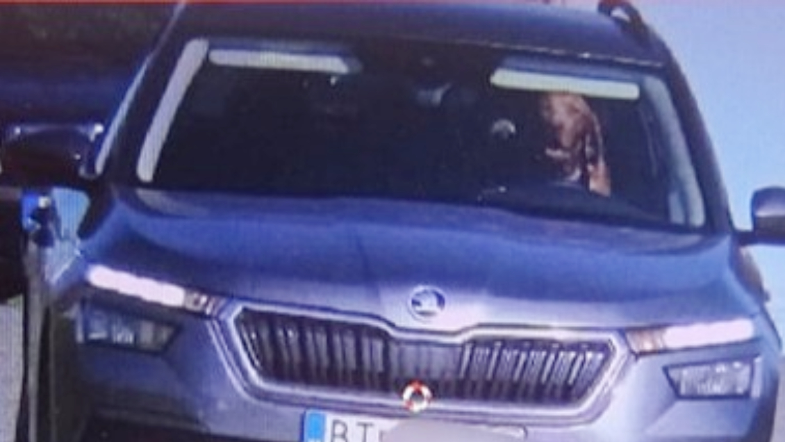 Captan a perro manejando a exceso de velocidad en autopista de Eslovaquia Captan a perro manejando a exceso de velocidad en autopista de Eslovaquia