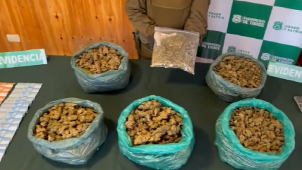   Carabineros incautó más de cinco kilos de marihuana en San Carlos 