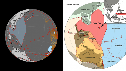   Geóloga descubre megaplaca tectónica en el sudeste asiático 