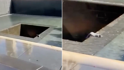   Hombre se lanzó a estanque conmemorativo del 11-S 