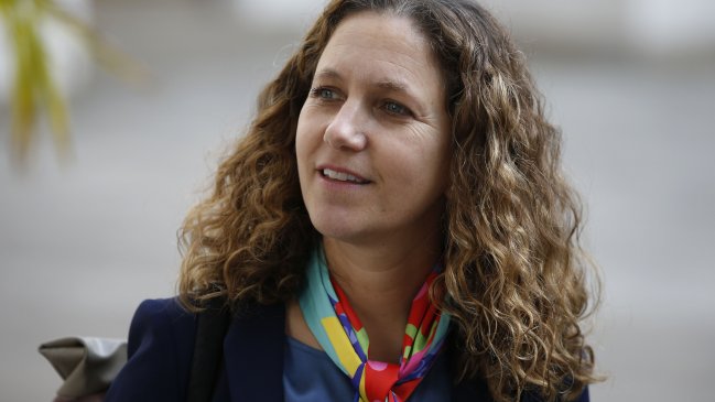 Presidenta de la Sofofa sobre nueva Constitución: 