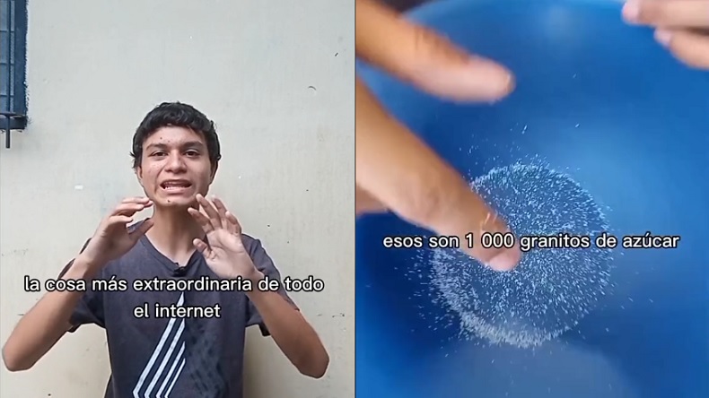 Contó cuántos granos vienen en un kilo de azúcar y causó furor en redes Contó cuántos granos vienen en un kilo de azúcar y causó furor en redes
