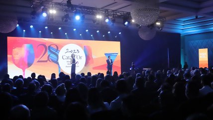   Catad'Or World Wine Awards: los mejores vinos de la edición 2023 