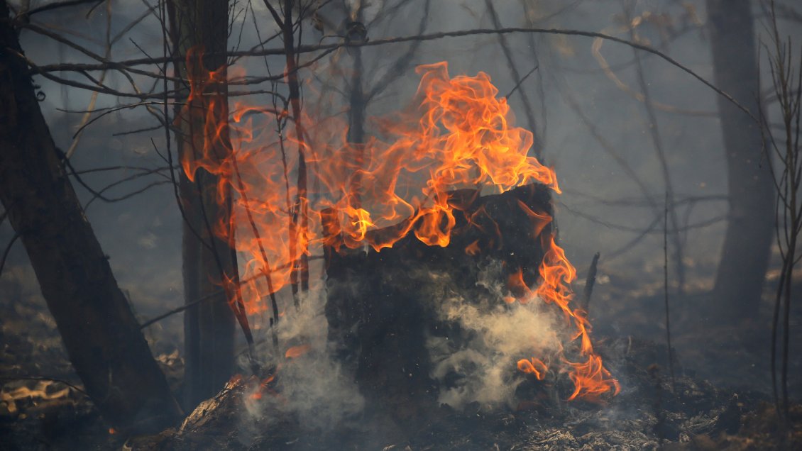 Senapred declaró alerta amarilla por incendio forestal en Quilpué Senapred declaró alerta amarilla por incendio forestal en Quilpué