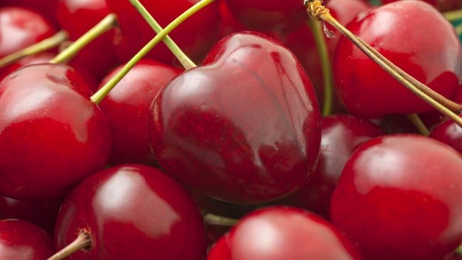 Fedefruta lamenta mermas de hasta 80% en cosechas tempranas de cerezas