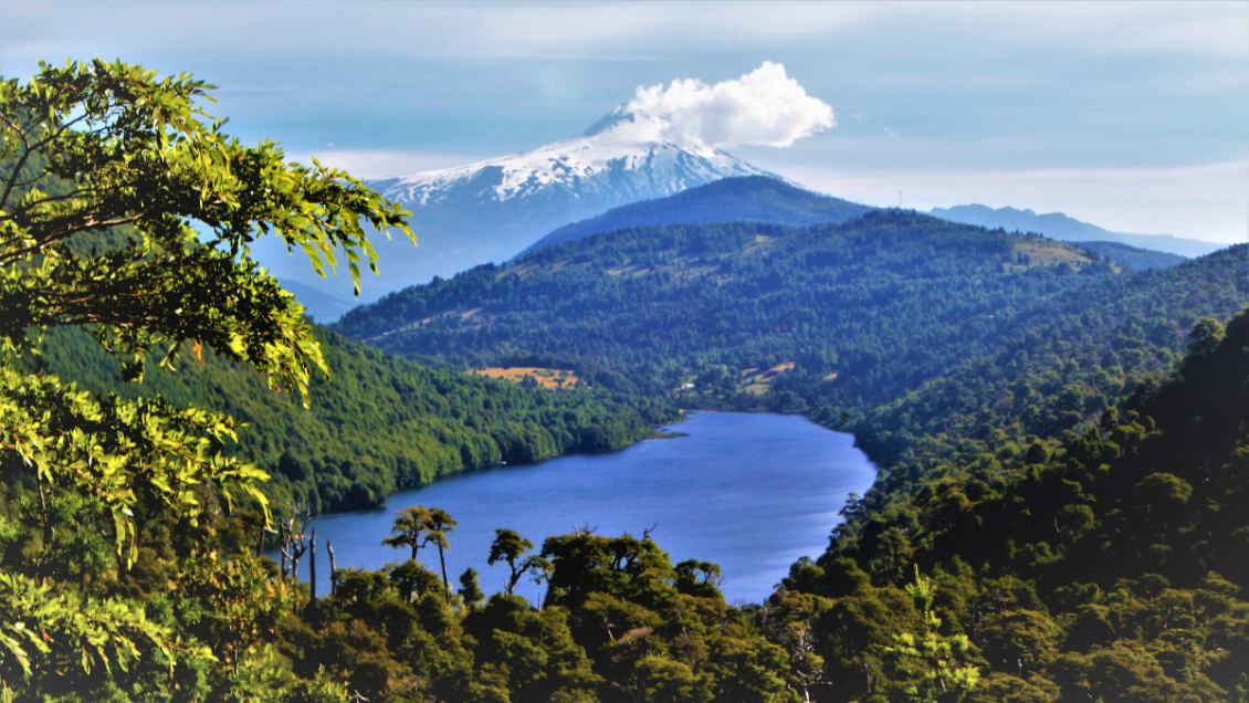 Chile es elegido por segundo año consecutivo como el Mejor Destino Verde del Mundo Chile es elegido por segundo año consecutivo como el Mejor Destino Verde del Mundo