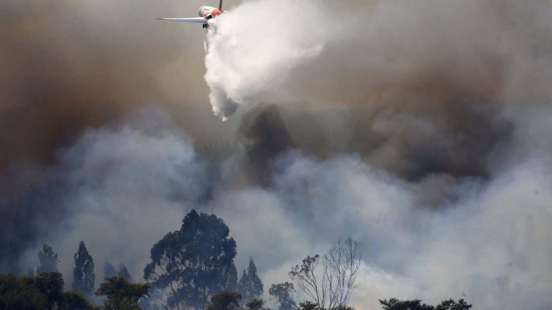 Investigadores japoneses diseñaron robot 