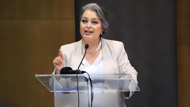 Jara: Ahora sí que las personas podrán elegir entre inversores privados y públicos