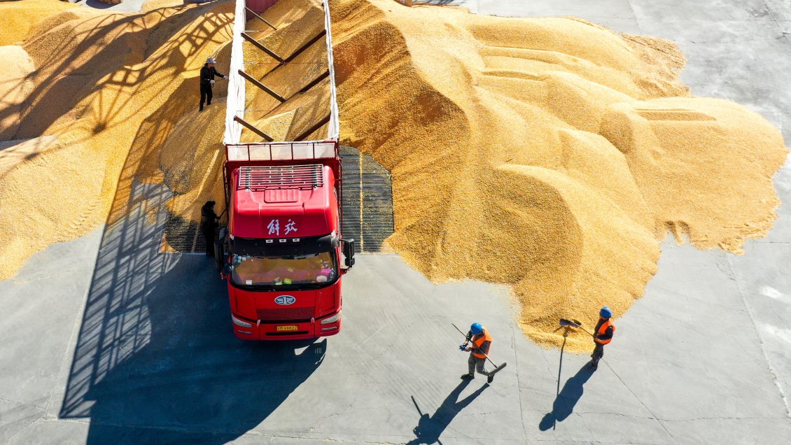 Importaciones de cereales de China suben entre enero y febrero Importaciones de cereales de China suben entre enero y febrero