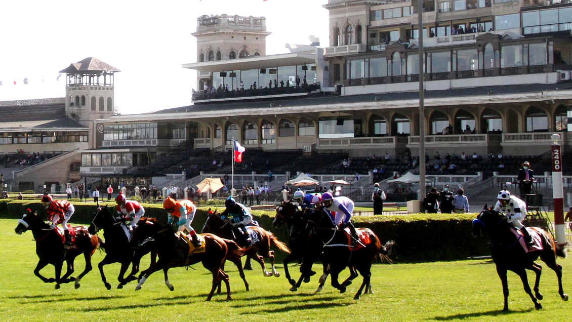 SAG confirmó brote de anemia infecciosa equina en el Club Hípico SAG confirmó brote de anemia infecciosa equina en el Club Hípico