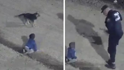   Bebé fue encontrado gateando de madrugada por las calles de Córdoba 