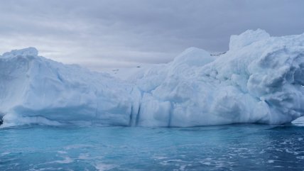   Antártica: Sin calentamiento global bajo nivel de hielo sería 