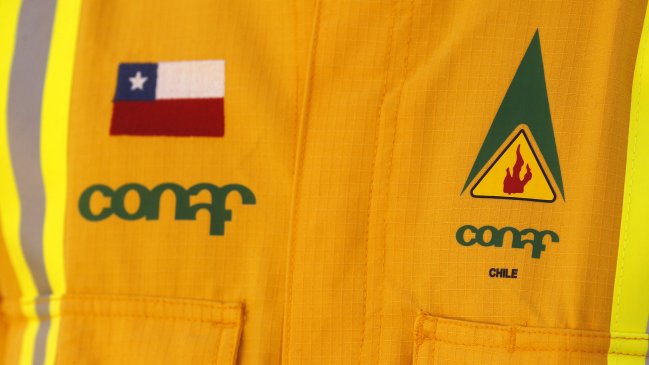 Conaf dice que detenido es 