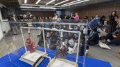 Día Mundial sin Tabaco: ¿Por qué se debe combatir su consumo? Día Mundial sin Tabaco: ¿Por qué se debe combatir su consumo?