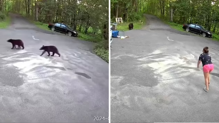   Mujer arriesgó la vida para salvar a su perro de un oso 