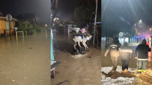 Sistema frontal: Declaran alerta roja en Arauco y Los Ángeles por desborde de río
