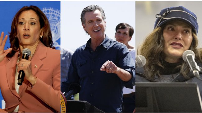 ¿Quién podría sustituir a Biden como candidato demócrata?