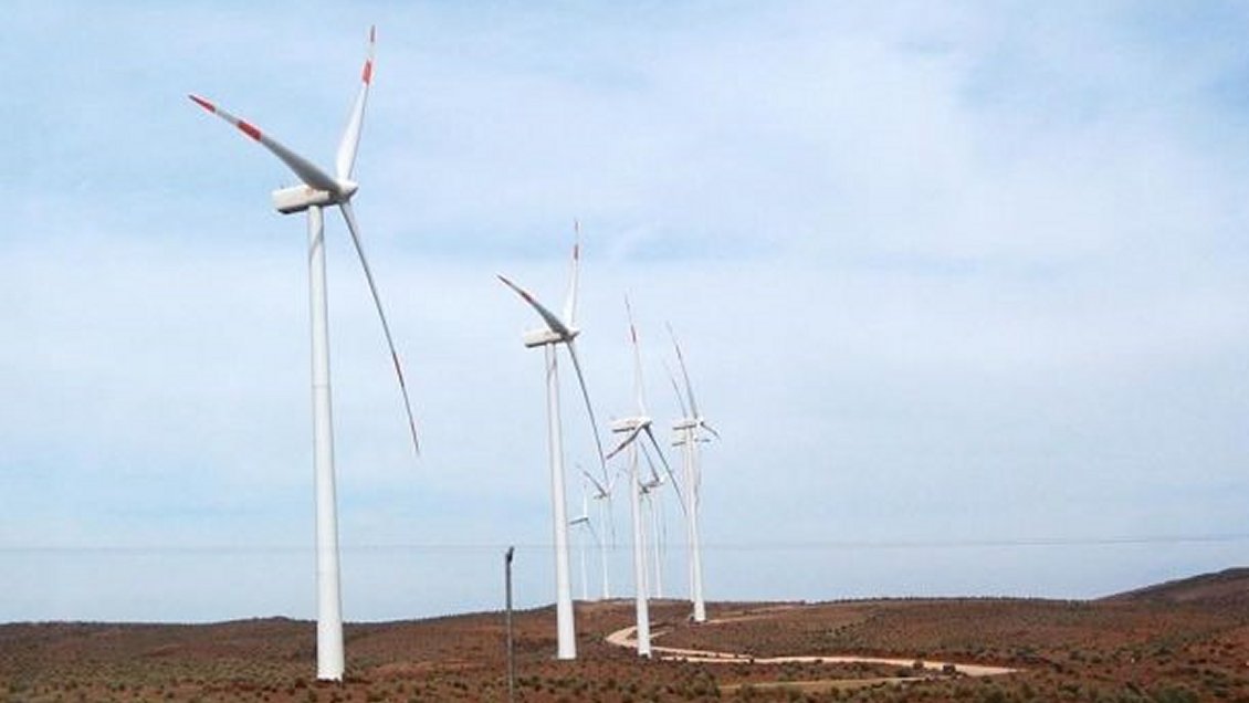 SMA exige medidas a parque eólico ante colisiones de cóndores con torres SMA exige medidas a parque eólico ante colisiones de cóndores con torres