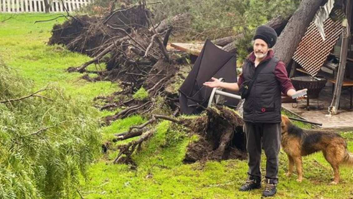 Árbol cae sobre la casa de Quique Neira en Batuco: Árbol cae sobre la casa de Quique Neira en Batuco: