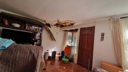  Enorme árbol que cayó durante sistema frontal sigue sobre casas en Maipú  