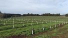 Piensa Circular: La agricultura circular y cómo ayuda a aumentar la producción    Piensa Circular: La agricultura circular y cómo ayuda a aumentar la producción