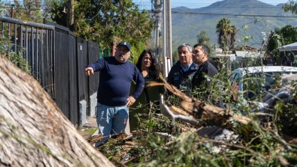   Vecinos de Lampa acusan graves pérdidas tras dos semanas sin suministro eléctrico 