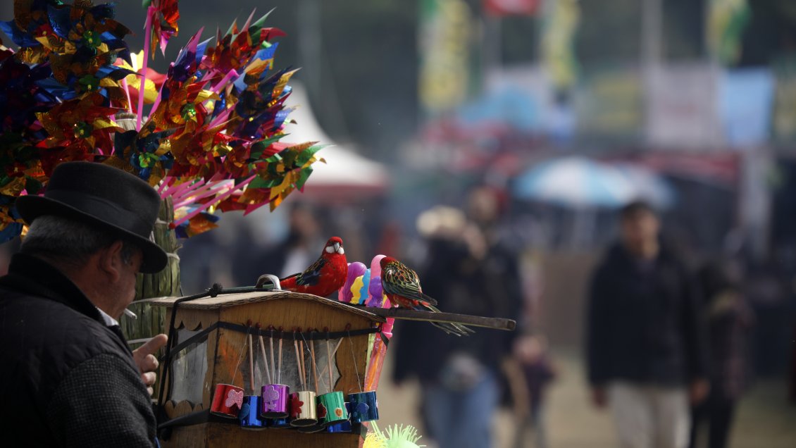 Fiestas Patrias XL: Estiman que ocupación hotelera sobrepase el 70%