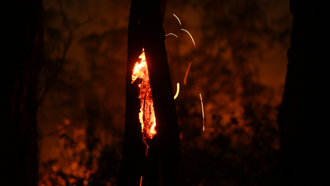 Incendios forestales en Perú dejan 20 muertos Incendios forestales en Perú dejan 20 muertos