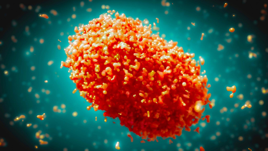 Detectan un caso de la nueva variante de mpox en Alemania