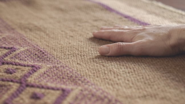 Comité ONU pide a Chile intensificar esfuerzos para sensibilizar sobre la violencia de género