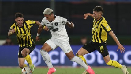  Botafogo clasificó por primera vez a la final de la Copa Libertadores  