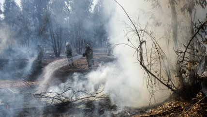   Formalizaron a dos detenidos por su rol en incendios en la Región de Valparaíso 