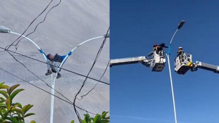   Hombre durmió en poste de luz en Iquique: Escaló 8 metros y amarró una manta 