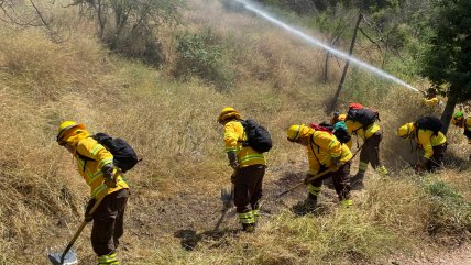   Chile construirá casi 4.000 kilómetros de cortafuegos para prevenir incendios 