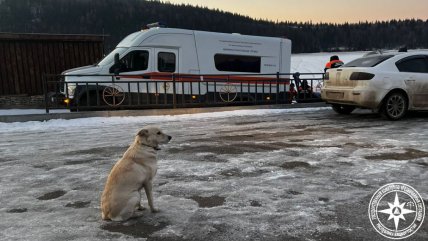   Fiel perrita espera a su amo en el lugar en el que falleció: Lleva más de cuatro días 