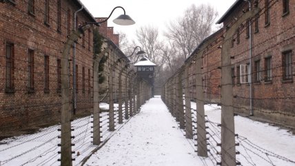   Ex guardia nazi podría ir a juicio a sus 100 años por más de 3.000 asesinatos 