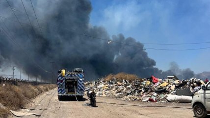   Incendio en basural de Maipú mantuvo en alerta a recinto colindante de ENAP 