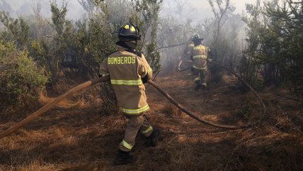  Senapred solicitó evacuar sector de Placilla por avance de incendio forestal  