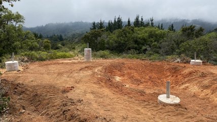   SMA constató posible afectación a bosque nativo por línea de transmisión eléctrica 