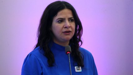   Ministra Orellana anunció que proyecto de aborto no ingresará este año al Congreso 