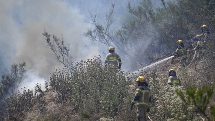   Piden evacuar sectores de Hualqui por incendio forestal que amenaza a viviendas 