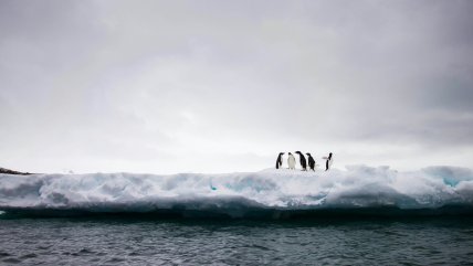  Expedición científica busca fugas de metano en la Antártica  