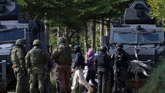 PDI incautó más de 200 plantas de marihuana en comunidad mapuche en Ercilla