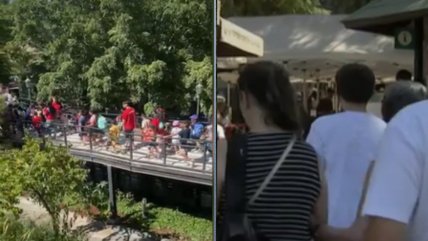  Caída de árbol obligó a evacuar asistentes del Zoológico Metropolitano  