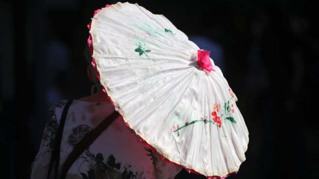 El 2024 fue el año más caluroso de la historia