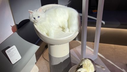   La torre para gatos que cautivó miradas en la CES 2025 